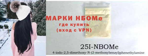 индика Корсаков
