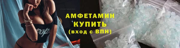 индика Корсаков