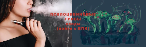 индика Корсаков
