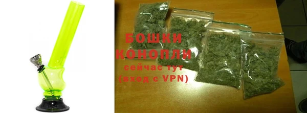 индика Корсаков