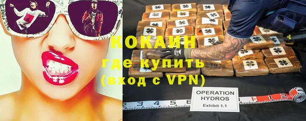 индика Корсаков