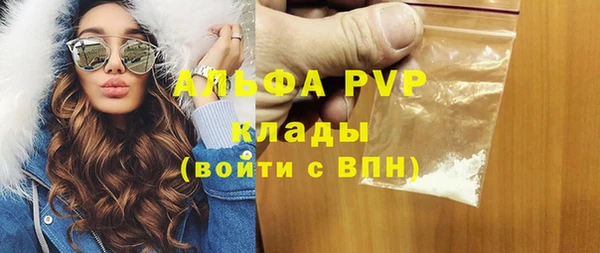 индика Корсаков
